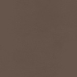 Taupe Gray | U15