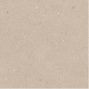Meteor Parchment | HM2