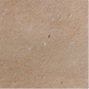 TcCotto Ember | TT2