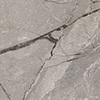 Silver Root | M42